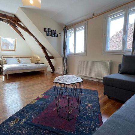 Town House In The Heart Of The Cher Valley Near Amboise Villa Blere Esterno foto